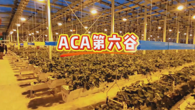 #ACA第六谷 模式，打造#ACA作物工厂，规划建园到栽培种植水肥管理一站式服务！#可控农业 #华维集团