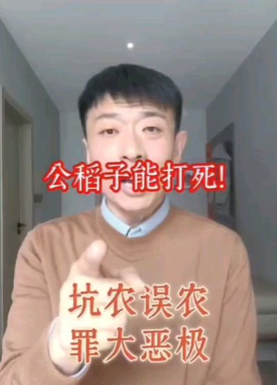 公稻子可以打死？纯属误农！