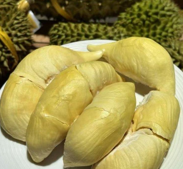 泰国甲仑榴莲
浓香满口，丝滑如奶油
甜甜糯糯，榴莲味浓郁
谁让它是泰国榴莲界的元