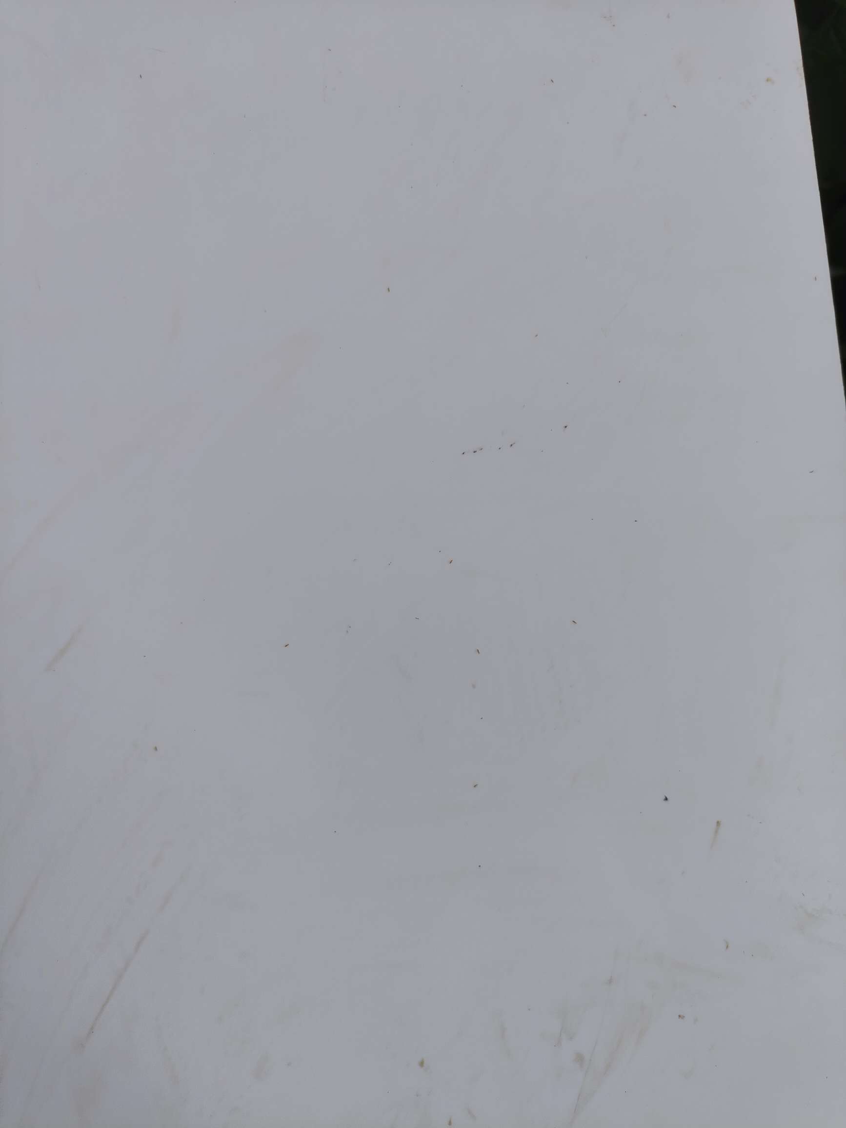 http://st-static1.mcmag.cn/forums/2025/08/18/17555288245629.jpeg