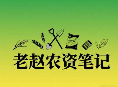 乡镇农资店对接厂家：不是否定代理，是找对&ldquo;有前景的小厂&rdquo;补增量