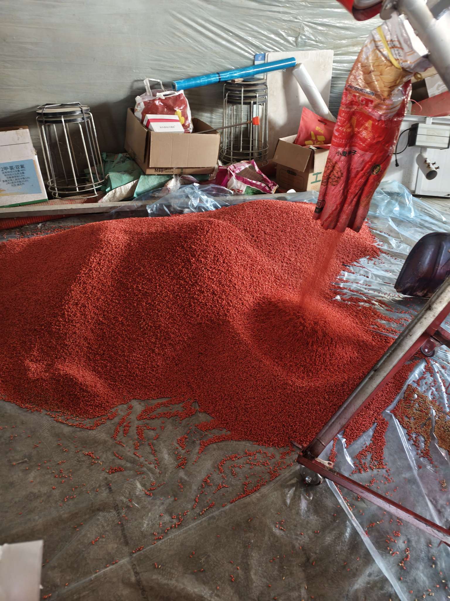 四冠包衣拌种，防虫防病壮苗增产。