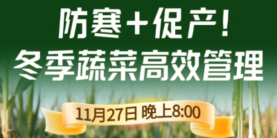 《细说农技》专家张宝林教冬季蔬菜防寒 + 促产高效管理，27 日晚 8 点！