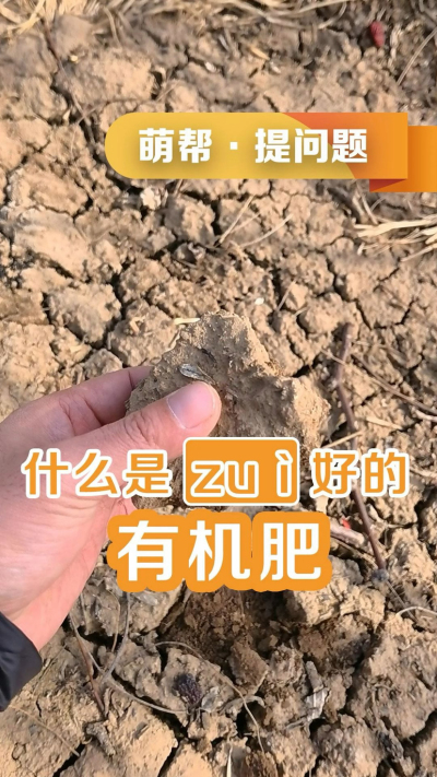 什么是最好的有机肥