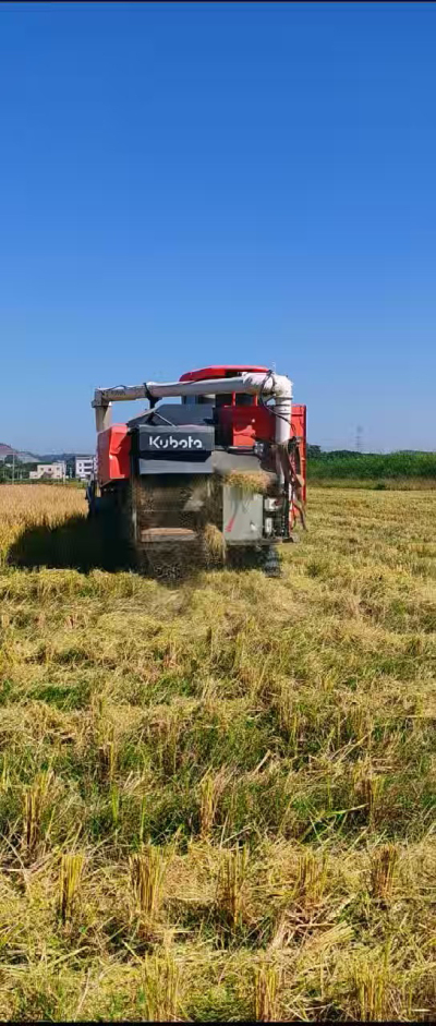 惠州基地，无人拖拉机收水稻了。