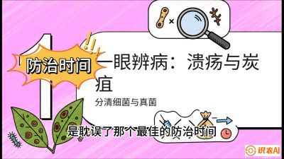 第三节：细菌与真菌&mdash;&mdash;溃疡病与炭疽病，课程：《柑橘十大病虫害：从入门到精通》
