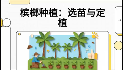 第01节：选苗与定植&mdash;&mdash;&ldquo;苗好一半收，底肥定千秋&rdquo;课程：《槟榔种植：从不懂到精通的10堂必修课》