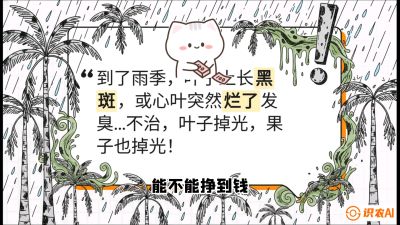 第05节：常见真菌病害&mdash;&mdash;&ldquo;炭疽与烂心，早防值千金&rdquo;《槟榔种植：从不懂到精通的10堂必修课》
