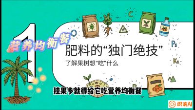第07节：科学施肥&mdash;&mdash;&ldquo;氮磷钾配好，树壮果不倒