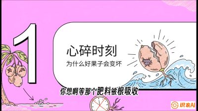 第08节：微量元素与保果&mdash;&mdash;&ldquo;补硼又补钙，果子不裂坏&rdquo;《槟榔种植：从不懂到精通的10堂必修课》