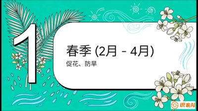 第10节：周年农事日历&mdash;&mdash;&ldquo;跟着节气走，丰产在手头&rdquo;《槟榔种植：从不懂到精通的10堂必修课》