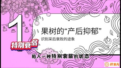 第2节：【冬肥策略】采后&ldquo;月子肥&rdquo;：大小年的精准干预术，课程：《柑橘底肥&ldquo;翻身账&rdquo;：从改土到高产的实战全书》