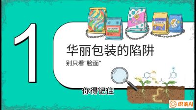 第4节：【黄金配方】底肥里的&ldquo;铁三角&rdquo;与&ldquo;微量雷区&rdquo;课程：《柑橘底肥&ldquo;翻身账&rdquo;：从改土到高产的实战全书》