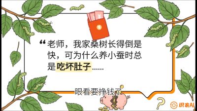 第01节：不仅仅是树&mdash;&mdash;顶级品种选配策略，课程：《桑海淘金：桑树高产与蚕桑安全进阶实战课》