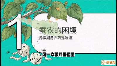 第06节：虫口夺叶（上）&mdash;&mdash;物理与生物防控绝技，课程《桑海淘金：桑树高产与蚕桑安全进阶实战课》