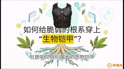 第三节：国产榴莲突围战：根系堡垒，菌根微生态构建与黄金定植窗口，课程：《国产榴莲突围战：从泰国经验到中国实操的8堂必修课（高阶实战版）》