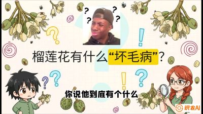 第六节：榴莲的午夜战事，夜间授粉战与花果期避雨策略，课程：《国产榴莲突围战：从泰国经验到中国实操的8堂必修课（高阶实战版）》