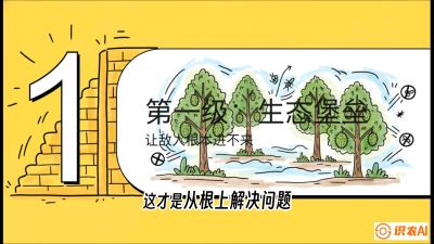 第七节：榴莲防御战：病虫害三级立体防控，疫霉菌与虫害的立体封锁线，课程：《国产榴莲突围战：从泰国经验到中国实操的8堂必修课（高阶实战版）》