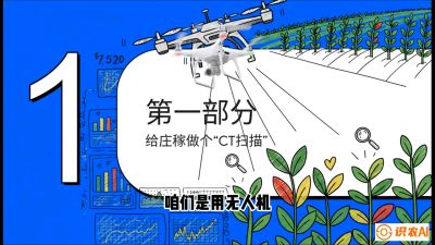 第5节：无人机也能&ldquo;看病抓药&rdquo;&mdash;&mdash;处方图与变量施肥入门，课程：《无人机植保搞钱必修课：从&ldquo;瞎飞&rdquo;到&ldquo;懂行&rdquo;的6步进阶》