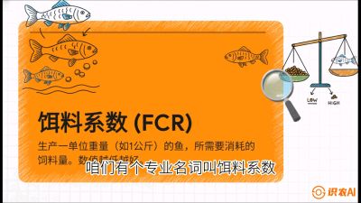 第五节：【高端单品&middot;鳜鱼】&ldquo;饲料鳜&rdquo;技术：打破吃活饵的高成本魔咒，课程：《黄金鳞甲：2025中国淡水鱼高效养殖实战营》