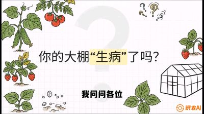 第2节（解毒篇）： 大棚里的&ldquo;红白绿&rdquo;警报&mdash;&mdash;读懂土壤盐渍化的求救信号，课程：《揭秘土壤的秘密：让土地帮你赚钱》#识农AI