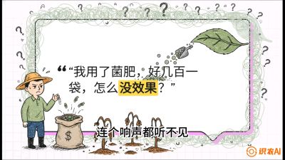 第4节（活化篇）： 土壤里的&ldquo;雇佣兵&rdquo;&mdash;&mdash;如何用菌剂以小博大，解决死棵难题，课程：《揭秘土壤的秘密：让土地帮你赚钱》#识农AI