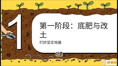 第6节（统筹篇）： 省钱又增产的&ldquo;黄金配比&rdquo;&mdash;&mdash;不同作物全年的养土实操方案，课程：《揭秘土壤的秘密：让土地帮你赚钱》#识农AI