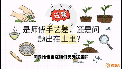 第02节（土肥篇）：告别&ldquo;苦涩水味&rdquo;：揭秘&ldquo;碳氮比&rdquo;调控术，种出自带兰花香的好茶底，课程：《茶金时代：从&ldquo;看天吃饭&rdquo;到&ldquo;精准控局&rdquo;的茶叶高产提质实战课》