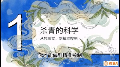 第05节（加工篇）：决胜2分钟：用&ldquo;数字温控&rdquo;破解杀青不匀，复刻大师级手工口感，课程：《茶金时代：从&ldquo;看天吃饭&rdquo;到&ldquo;精准控局&rdquo;的茶叶高产提质实战课》