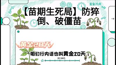 第2节：【苗期生死局】防猝倒、破僵苗，决定后期产量的&ldquo;黄金20天&rdquo;，课程：《辣椒种植实战特训营，从工业辣椒到精品小米辣，教你如何把&ldquo;草&rdquo;种成&ldquo;金&rdquo;》