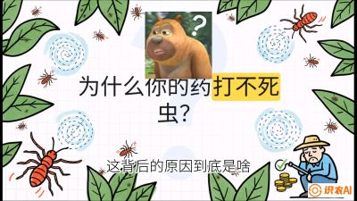 第4节：【虫害歼灭战】打不死的蓟马、隐形的茶黄螨：抗性时代的&ldquo;混配绝杀&rdquo;，课程：《辣椒种植实战特训营，从工业辣椒到精品小米辣，教你如何把&ldquo;草&rdquo;种成&ldquo;金&rdquo;》