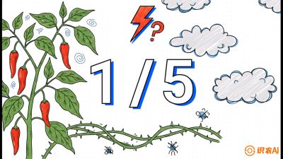 第6节：【花果爆发术】落花落果的五大元凶，与&ldquo;三喷一保&rdquo;坐果黑科技，课程：《辣椒种植实战特训营，从工业辣椒到精品小米辣，教你如何把&ldquo;草&rdquo;种成&ldquo;金&rdquo;》