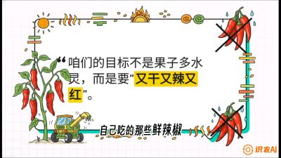 第7节：【工业辣椒专场】追求极致辣度！干物质提升与机械化采收的&ldquo;催红秘籍&rdquo;，课程：《辣椒种植实战特训营，从工业辣椒到精品小米辣，教你如何把&ldquo;草&rdquo;种成&ldquo;金&rdquo;》