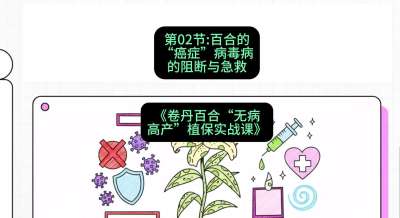 第02节：百合的&ldquo;癌症&rdquo;&mdash;&mdash;病毒病的阻断与急救，课程：《卷丹百合&ldquo;无病高产&rdquo;植保实战课》#识农AI