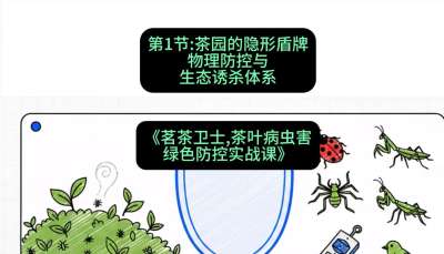第01节：茶园的&ldquo;隐形盾牌&rdquo;&mdash;&mdash;物理防控与生态诱杀体系，课程：《茗茶卫士&mdash;&mdash;茶叶病虫害绿色防控实战课》#识农AI