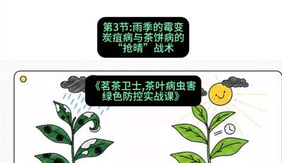 第03节：雨季的霉变&mdash;&mdash;炭疽病与茶饼病的&ldquo;抢晴&rdquo;战术，课程：《茗茶卫士&mdash;&mdash;茶叶病虫害绿色防控实战课》#识农AI
