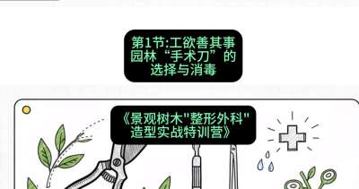 第01节：工欲善其事&mdash;&mdash;园林&ldquo;手术刀&rdquo;的选择与消毒，课程：《景观树木&ldquo;整形外科&rdquo;造型实战特训营》#识农AI