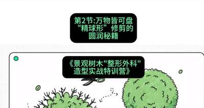第02节：万物皆可盘&mdash;&mdash;&ldquo;精球形&rdquo;修剪的圆润秘籍，课程：《景观树木&ldquo;整形外科&rdquo;造型实战特训营》#识农AI