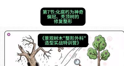 第07节：化腐朽为神奇&mdash;&mdash;偏冠、秃顶树的修复整形，课程：《景观树木&ldquo;整形外科&rdquo;造型实战特训营》#识农AI