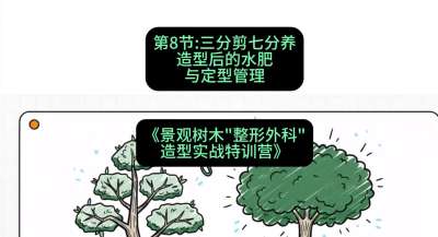第08节：三分剪七分养&mdash;&mdash;造型后的水肥与定型管理，课程：《景观树木&ldquo;整形外科&rdquo;造型实战特训营》#识农AI