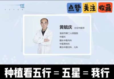 中药材淫羊藿怎么种？听专家一次讲明白！不挑地块好管理，耐寒耐旱省心省力，新手也能轻松上手，药用价值高、市场需求稳，妥妥的增收好品种～ 从生长习性到采收要点，干货满满无废话，种植疑问直接问，一对一答疑解