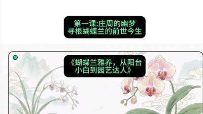 第一节：庄周的幽梦：寻根蝴蝶兰的前世今生，课程：《蝴蝶兰雅养六讲：从阳台小白到园艺达人》#识农AI