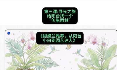 第三节：寻光之旅：给阳台找一个&ldquo;仿生雨林&rdquo;，课程：《蝴蝶兰雅养六讲：从阳台小白到园艺达人》#识农AI