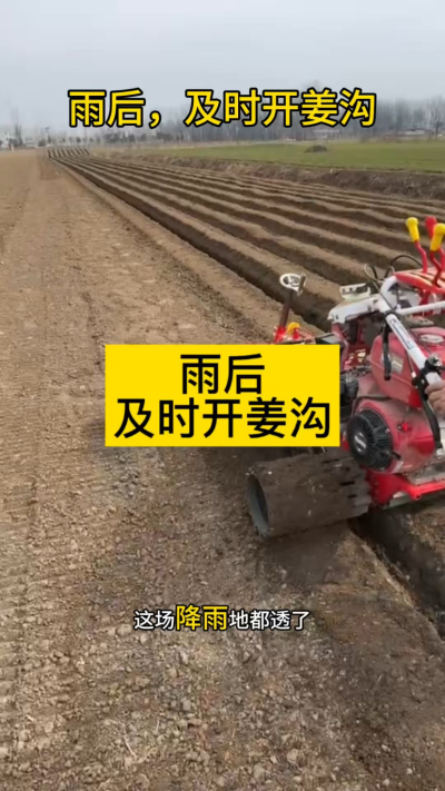 雨后，及时开姜沟！
