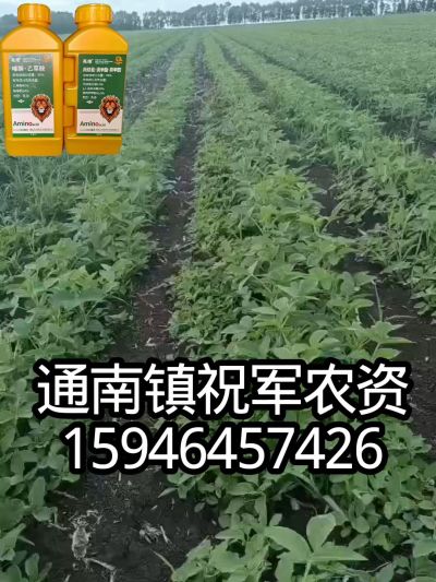 大豆苗前封闭，可封红根苋菜，灰菜，兰花菜，野豆子，捞豆秧等恶性杂草，封杀兼备的高端产品。