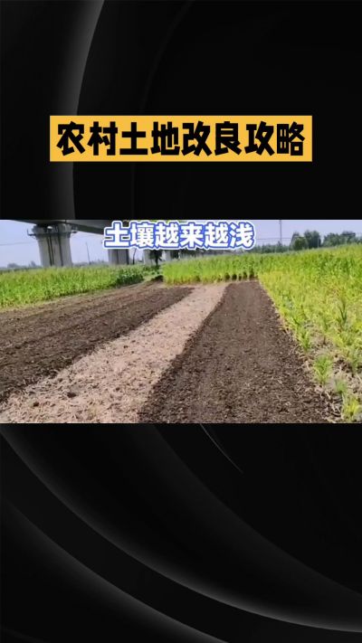 1. 先搞懂：你到底要改良哪块地、种什么
 
- 土土土在哪里？
就是你自家农田、菜地、果园，哪块地想种庄稼，就测哪块地的土。
​
- 有水没有水？
有水能浇：改良更省事，施肥、调酸碱都好操作。
没水