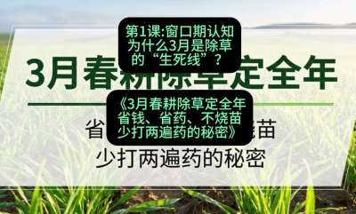 第1节：窗口期认知，为什么3月是除草的&ldquo;生死线&rdquo;？，课程：《3月春耕除草定全年：省钱、省药、不烧苗、少打两遍药的秘密》